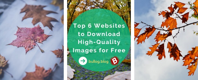 Top 6 Websites to Download Free High-Quality Stock Images